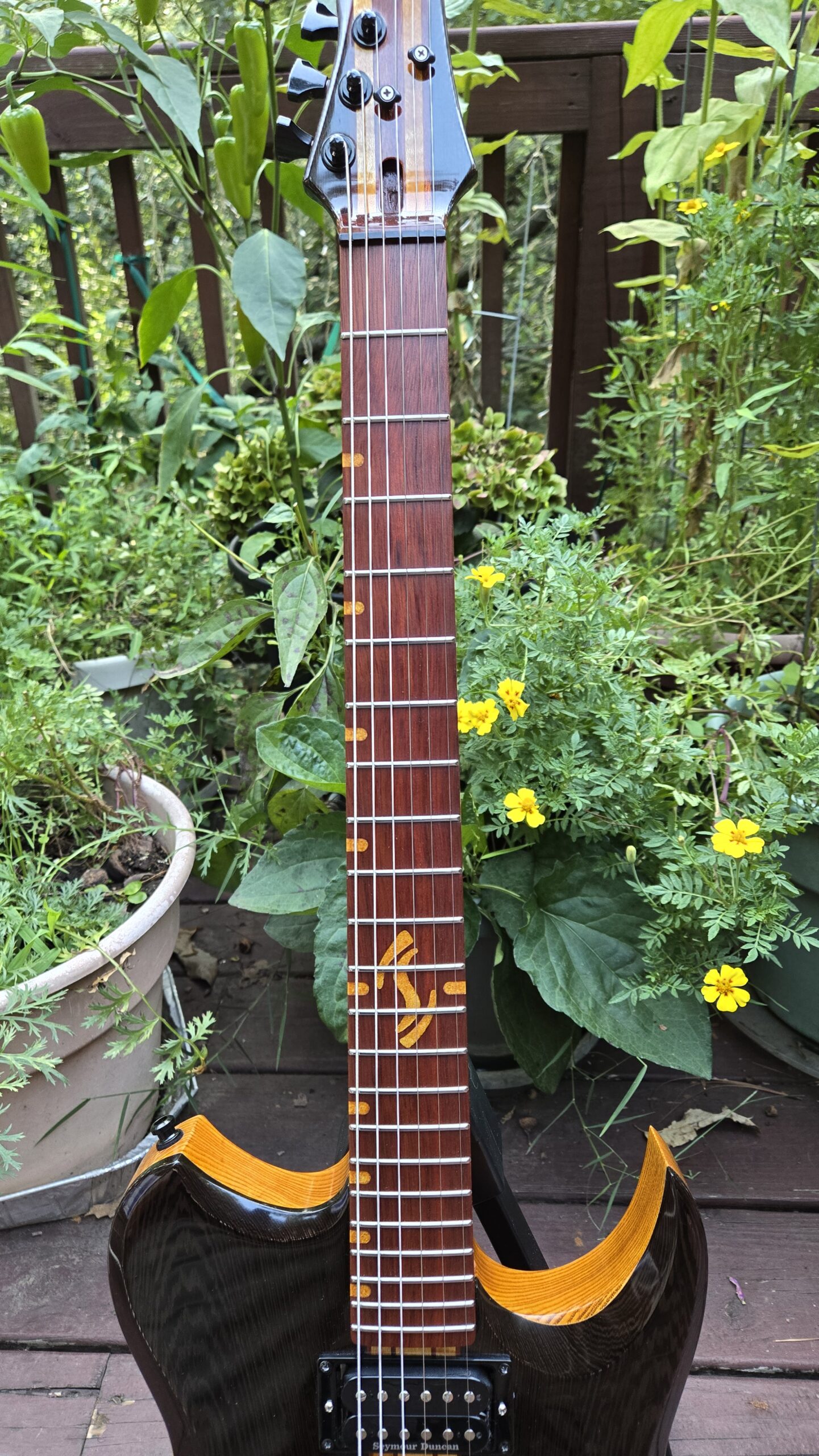 Severin ST1 Wenge Tremolo Electric Guitar - Image 2