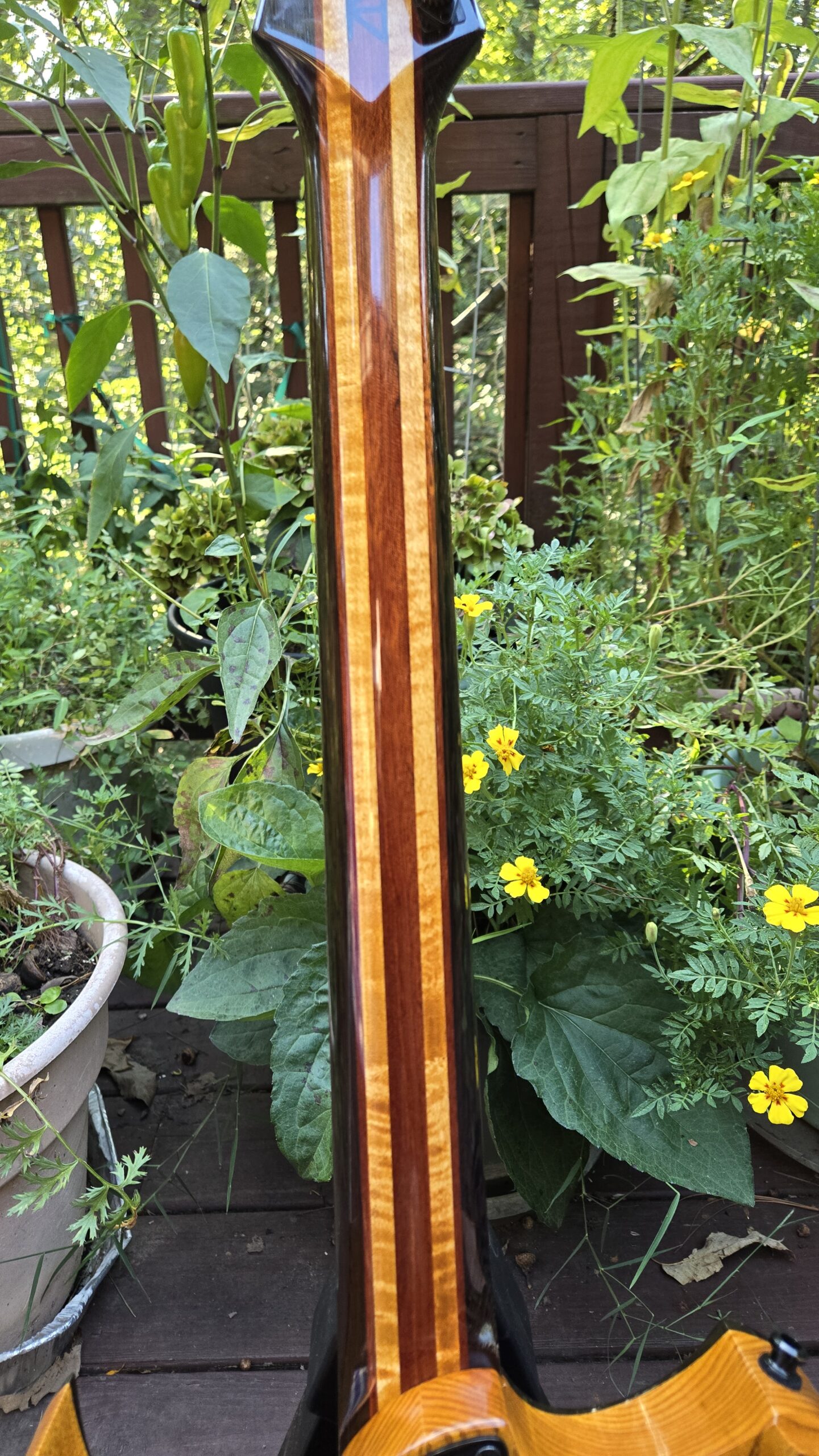 Severin ST1 Wenge Tremolo Electric Guitar - Image 5